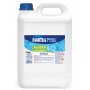 ANTIALGHE LIQUIDO PER PISCINE KG. 5 