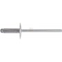 WIDE HEAD ALUMINUM RIVETS MM. 4.8 X 20 PCS. 50
