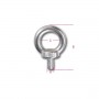 Robur AISI 316 M12 male eyebolts