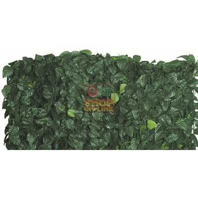 ARELLE SIEPE SEMPREVERDE LAURO DOUBLE SHIELD MT. 1.5X3