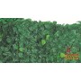 ARELLE HEDGES SEMPREVERDE LAURO MT. 0.35 X 10