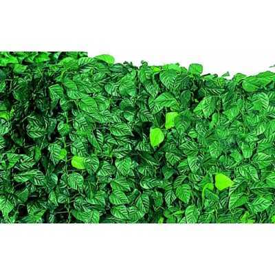 ARELLE HEDGES SEMPREVERDE LAURO MT. 1.5 X 3