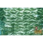 ARELLE HEDGES SEMPREVERDR LAURO LIGHT MT. 1 X 3