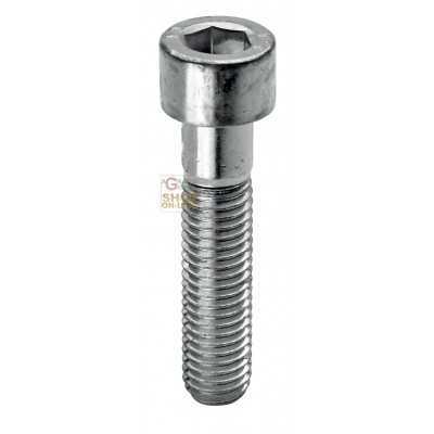 SC VITI TESTA CILINDRICA 8.8 ESAGONO INCASSATO 4X14 PZ. 20 