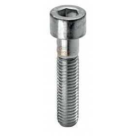 SC SCREWS CYLINDRICAL HEAD 8.8 HEX SOCKET 5X20 PCS. 20