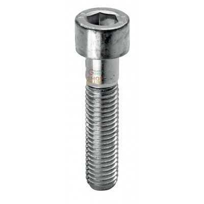 SC SCREWS CYLINDRICAL HEAD 8.8 HEX SOCKET 5X20 PCS. 20