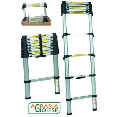 UNIVERSAL TELESCOPIC EXTENDABLE LADDER MT. 3.2 PER CAR