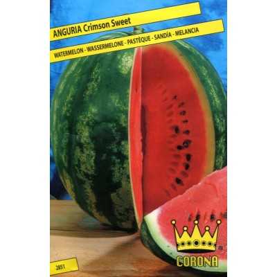 SEEDS OF WATERMELON CRIMSON TONDA SWEET WATERMELON WASSERMELOLE