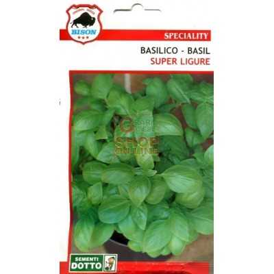 SUPER LIGURIAN BASIL SEEDS HYBRID F1