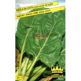 SEEDS OF BEET COSTA SMOOTH GREEN FOR CUTTING
