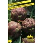 SEEDS OF ROMANESQUE LARGE ARTICHOKE