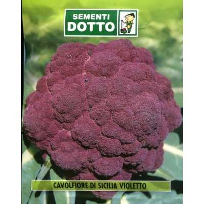 VIOLET SICILIAN CAULIFLOWER SEEDS
