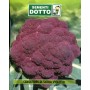 VIOLET SICILIAN CAULIFLOWER SEEDS