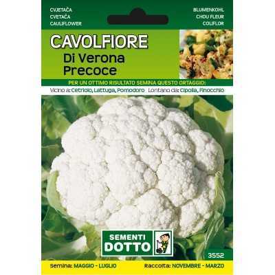 EARLY VERONA CAULIFLOWER SEEDS