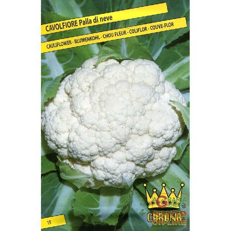 Semi Di Cavolfiore Di Jesi – Franchi Sementi, Busta Da 3g (circa 900 Semi). Varietà Precoce, Pianta Alta Con Infiorescenza Bianco-crema A Forma Di Lumachella. Semina Da Giugno Ad Agosto, Raccolta Da Novembre A Gennaio.