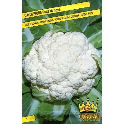 SEEDS OF SNOW BALL CAULIFLOWER