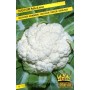 SEEDS OF SNOW BALL CAULIFLOWER