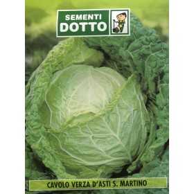SEEDS OF VERZA CABBAGE D ASTI S. MARTINO