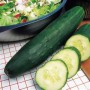 GREEN FALLS F1 HYBRID CUCUMBER SEEDS