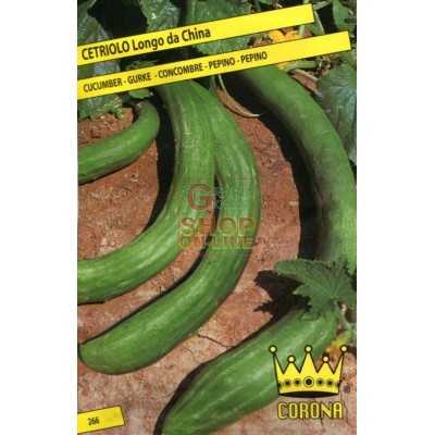 LONG CUCUMBER SEEDS OF CHINA