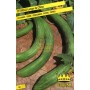 LONG CUCUMBER SEEDS OF CHINA