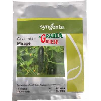 SEMI DI CETRIOLO SYNGENTA MIRAGE IBRIDO CONFEZIONE DA 1.000