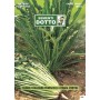 SEEDS OF CHICORY CATALONIA NARROW LEAF PUNTERELLE