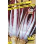 RED CHICORY SEEDS OF TREVISO 2 LATE
