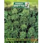 SEMI DI CIME DI RAPA 60 GG. DI SARNO O SAN MARZANO 