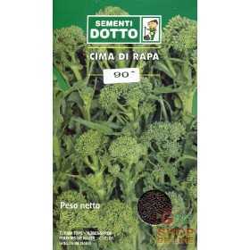 SEEDS OF TURNIP TOP 90 GG. GR. 250