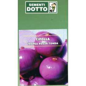 SEEDS OF ONION OF RED TROPEA GR. 500