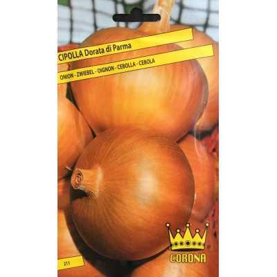 SEMI DI CIPOLLA DORATA DI PARMA 
