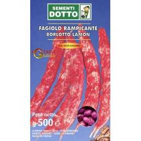 SEMI DI FAGIOLO BORLOTTO RAMPICANTE LAMON GR. 500 