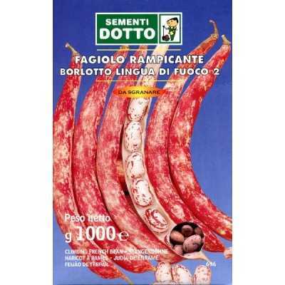 BORLOTTO BEAN SEEDS CLIMBING LANGUAGE OF FIRE GR. 500