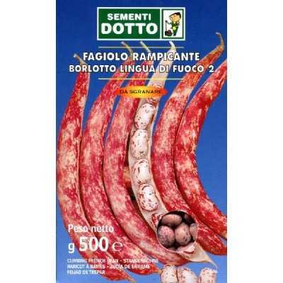 SEMI DI FAGIOLO BORLOTTO RAMPICANTE LINGUA DI FUOCO KG. 1 