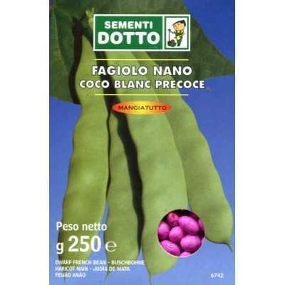 SEMI DI FAGIOLO COCO BIANCO PRECOCE NANO GR. 250 