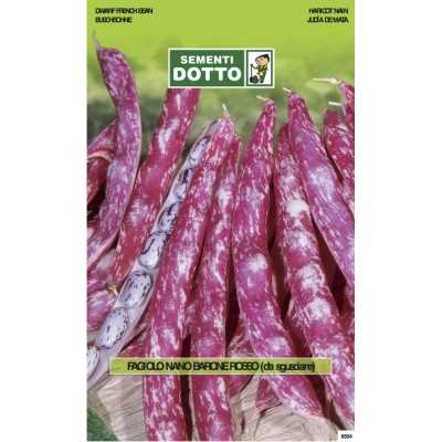 RED BEAN SEEDS BARONE GR. 500