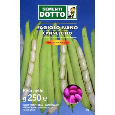 Dwarf BEAN SEEDS CANNELLINO GR. 250