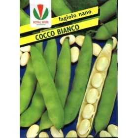 BEAN SEEDS NANO WHITE COCONUT WITH BUTTER GR. 500