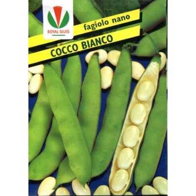 BEAN SEEDS NANO WHITE COCONUT WITH BUTTER GR. 500