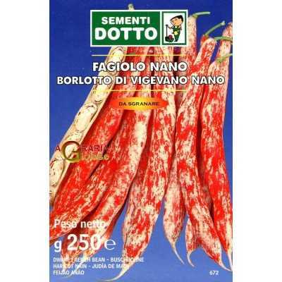 SEEDS OF DWARF BEAN OF VIGEVANO GR. 250