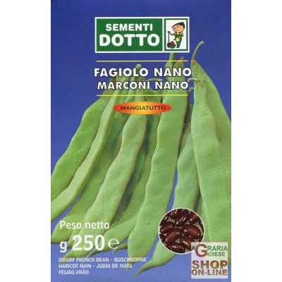 MARCONI DWARF BEAN SEEDS BLACK SEED GR. 250