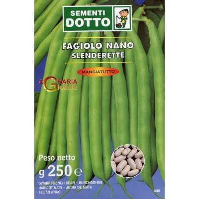 NANO BEAN SEEDS SLENDERETTE GR. 250