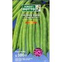 BEAN SEEDS Dwarf SLENDERETTE WHITE SEED GR. 500