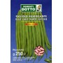 BEAN SEEDS CLIMBING BLUE LAKE WHITE SEED GR. 250