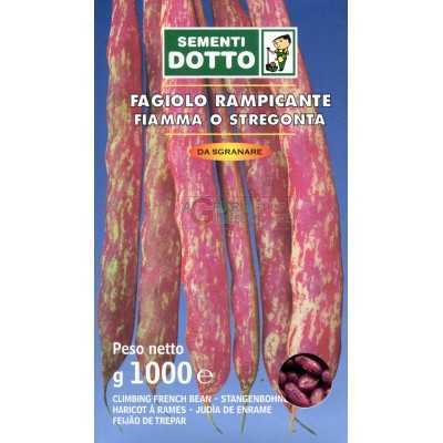 SEMI DI FAGIOLO RAMPICANTE FIAMMA O STREGONTA KG. 1 