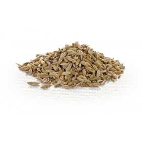 AROMATIC FENNEL SEEDS GR. 500