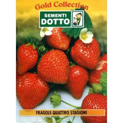 SEMI DI FRAGOLE QUATTRO STAGIONI RIFIORENTI 