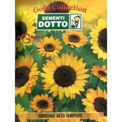 HIGH SIMPLE SUNFLOWER SEEDS