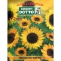 HIGH SIMPLE SUNFLOWER SEEDS